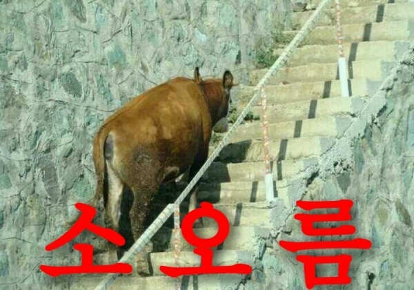 더운지 추운지 '소름'으로 판단해?!