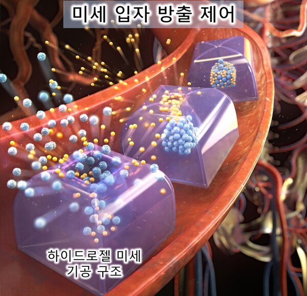 환경 반응 하이드로젤 미세 기공 제어를 통한 단계적 미세 입자 방출.(사진 제공=한국연구재단)