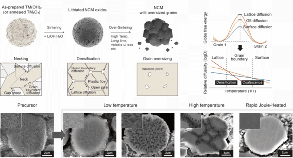 기존 소결 과정 및 급속 줄 가열 통한 소결의 하이니켈 양극재의 미세구조 변화 및 소결 동역학 모식도.(사진 제공=UNIST)