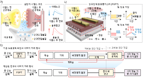 삼단자 시냅스 구조를 모사한 강유전체 광트랜지스터(사진 제공=한국연구재단)
