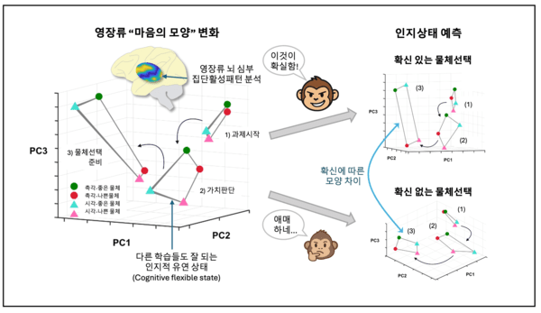 내 마음의 모양은 어떻게 생겼을까…서울대, 영장류 뇌 심부 패턴 세계 최초 규명