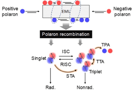 중앙대, OLED 핵심 특성 예측하는 초고성능 텐덤 AI 모델 개발 - 뉴스 썸네일 이미지
