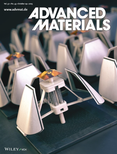 Advanced Materials 표지 (사진=DGIST)