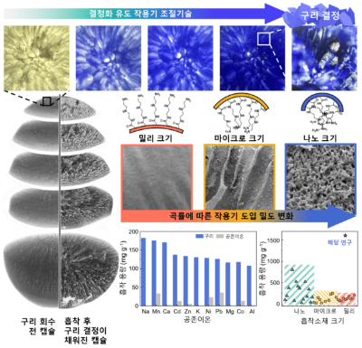 3D 고밀도 아민 밀리캡슐(DMC)의 내부 기공구조의 곡률에 따른 제어된 결정형성 메커니즘(사진 제공=한국연구재단)