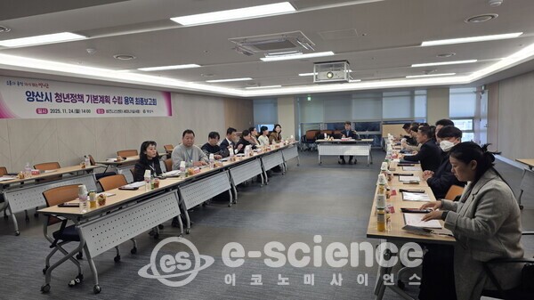 '양산시 청년정책 기본계획 수립 용역' 최종보고회. (사진=양산시)