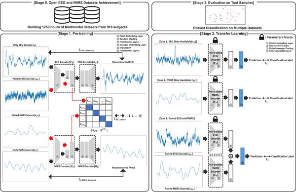 제안된 EEG-fNIRS 다중 모달 표현 학습 모델의 사전 학습 과정(사진 제공=DGIST)
