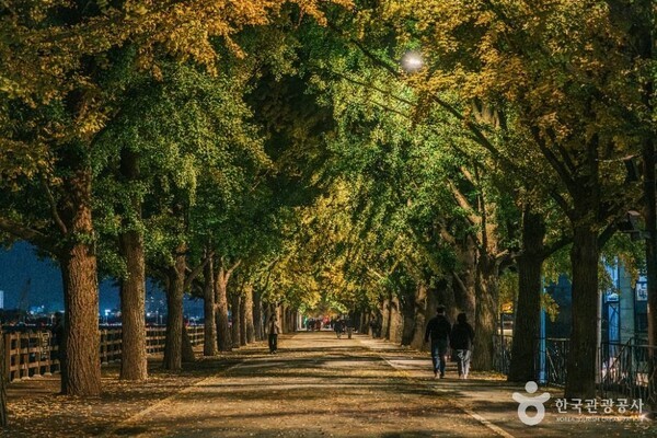 아산 가볼 만한 곳, 겨울 정취 속에서도 다채로운 매력을 선사하는 여행... - 뉴스 썸네일 이미지