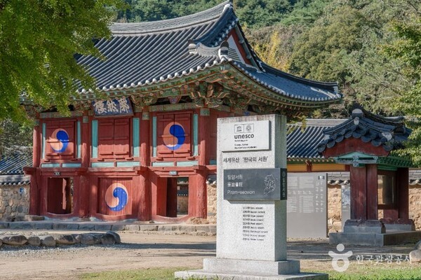 장성 가볼 만한 곳, 겨울 숲의 고요와 역사의 숨결