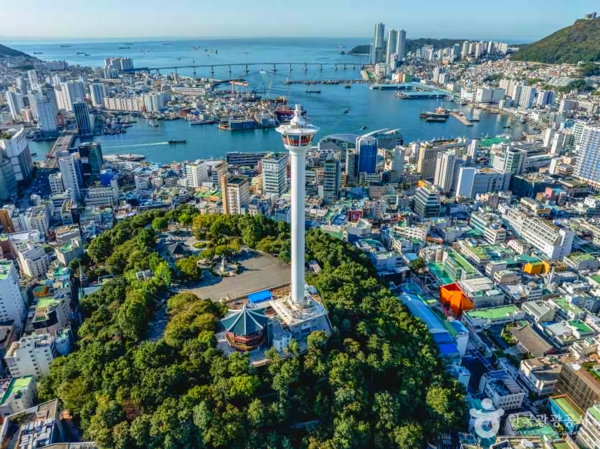부산 중구 명소, 항구 도시의 낭만과 예술이 흐르는 길